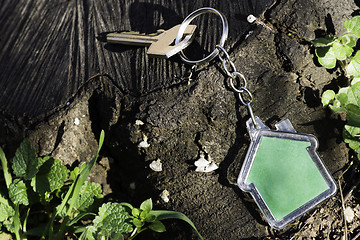 Image showing Keychain in a shape of house