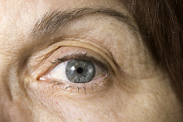 Image showing Close up old women eye