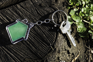 Image showing Keychain in a shape of house