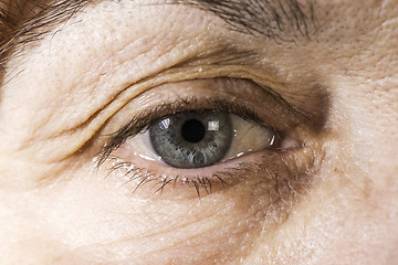 Image showing Close up old women eye