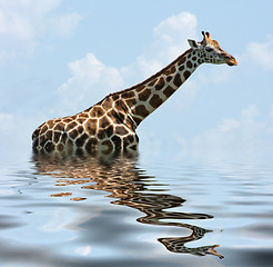Image showing sunken Giraffe