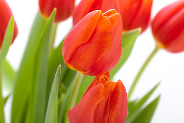 Image showing Beautiful fresh red tulips for a loved one