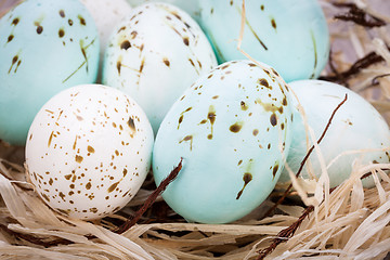 Image showing Three natural blue Easter eggs in a basket