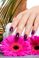 Image showing Woman with beautiful manicured purple nails