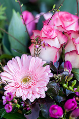 Image showing Background of colourful vivid summer flowers