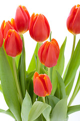 Image showing Beautiful fresh red tulips for a loved one