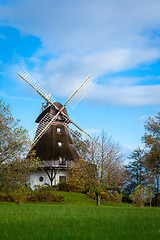 Image showing Traditional wooden windmill in a lush garden