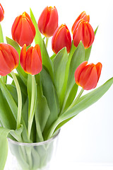 Image showing Beautiful fresh red tulips for a loved one