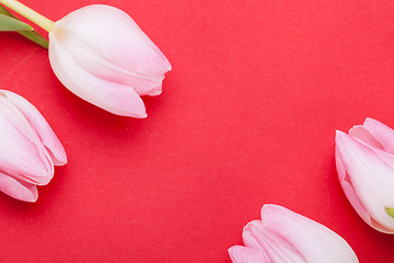 Image showing Spring background of dainty pink tulips