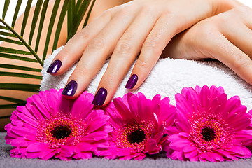 Image showing Woman with beautiful manicured purple nails
