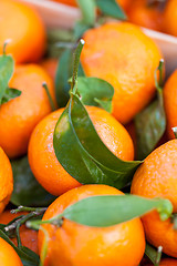 Image showing Background of fresh tangerines or clementines