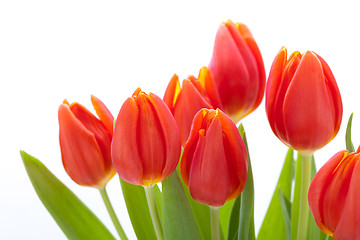 Image showing Beautiful fresh red tulips for a loved one