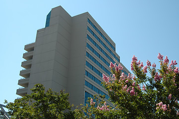 Image showing Hotel tower