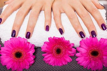 Image showing Woman with beautiful manicured purple nails