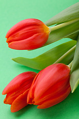 Image showing Beautiful fresh red tulips for a loved one