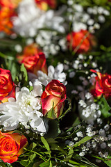 Image showing Background of colourful vivid summer flowers