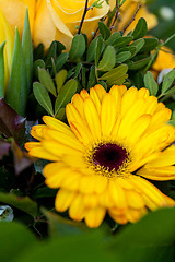 Image showing Background of colourful vivid summer flowers