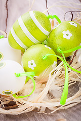 Image showing Colourful green Easter eggs in straw