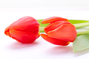 Image showing Beautiful fresh red tulips for a loved one