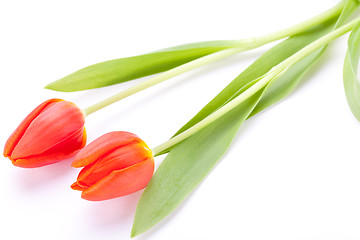 Image showing Beautiful fresh red tulips for a loved one