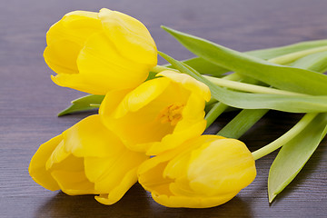 Image showing Bunch of cheerful yellow tulips