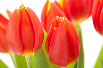 Image showing Beautiful fresh red tulips for a loved one