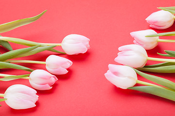 Image showing Spring background of dainty pink tulips