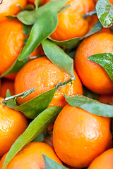 Image showing Background of fresh tangerines or clementines