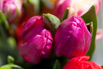 Image showing Background of colourful vivid summer flowers