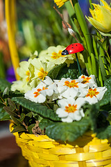 Image showing Background of colourful vivid summer flowers