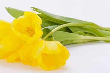 Image showing Bunch of cheerful yellow tulips