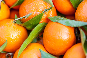 Image showing Background of fresh tangerines or clementines