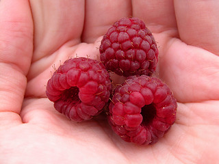 Image showing raspberries