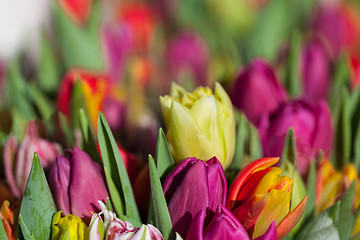 Image showing Background of colourful vivid summer flowers