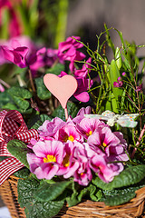 Image showing Background of colourful vivid summer flowers