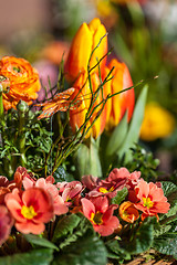 Image showing Background of colourful vivid summer flowers