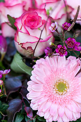 Image showing Background of colourful vivid summer flowers