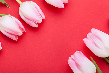 Image showing Spring background of dainty pink tulips