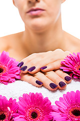 Image showing Woman with beautiful manicured purple nails