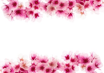 Image showing Sakura Template