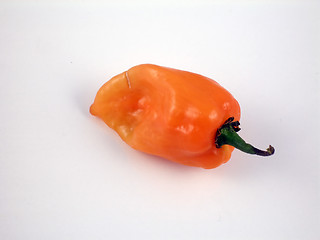 Image showing Habanero chili