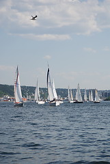 Image showing Sailboats