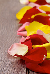 Image showing Rose Petals