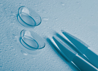 Image showing Contact Lenses and Tweezers