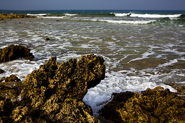 Image showing  spain musk pond rmmer in el golfo lanzarote