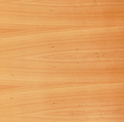 Image showing Light brown wood texture with natural patterns