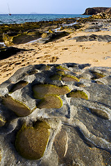 Image showing in lanzarote  spain coastline beach  