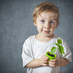 Image showing Portrait of funny little boy with window plants