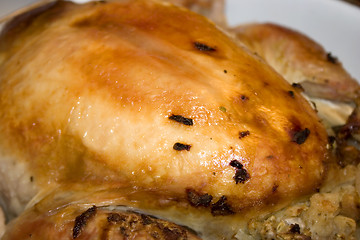 Image showing Roasted Chicken