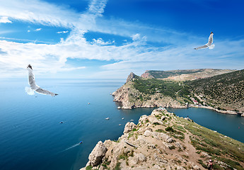 Image showing Two gulls over the sea